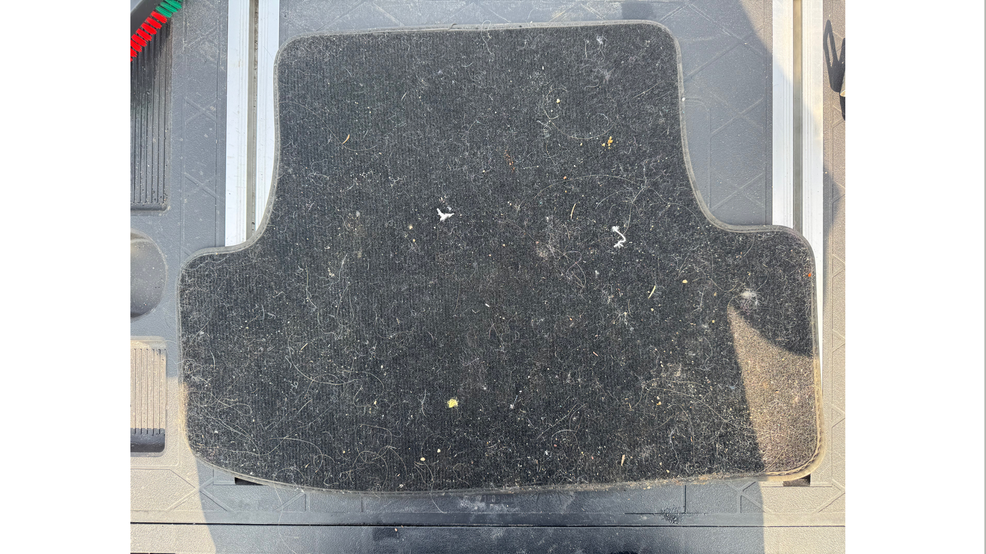 Miniature pour Tapis